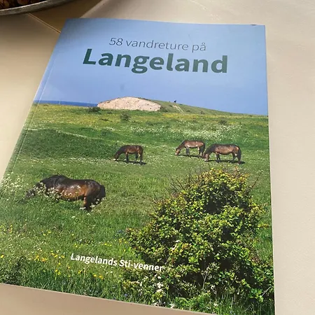 度假居 Hyggeligt Sommerhus I Det Fynske Ohav 100 M Til Vandet Med Badebro *