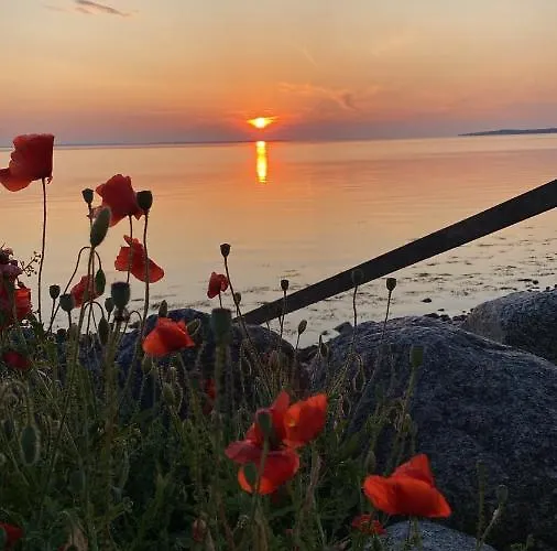 Hyggeligt Pa Langeland 100 M Til Vandet, Naer Dovns Klint * Nordenbro Vesteregn