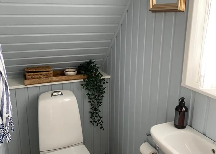 Hyggeligt Pa Langeland 100 M Til Vandet, Naer Dovns Klint